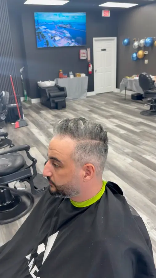 Silver hair styled into a quiff over a taper
